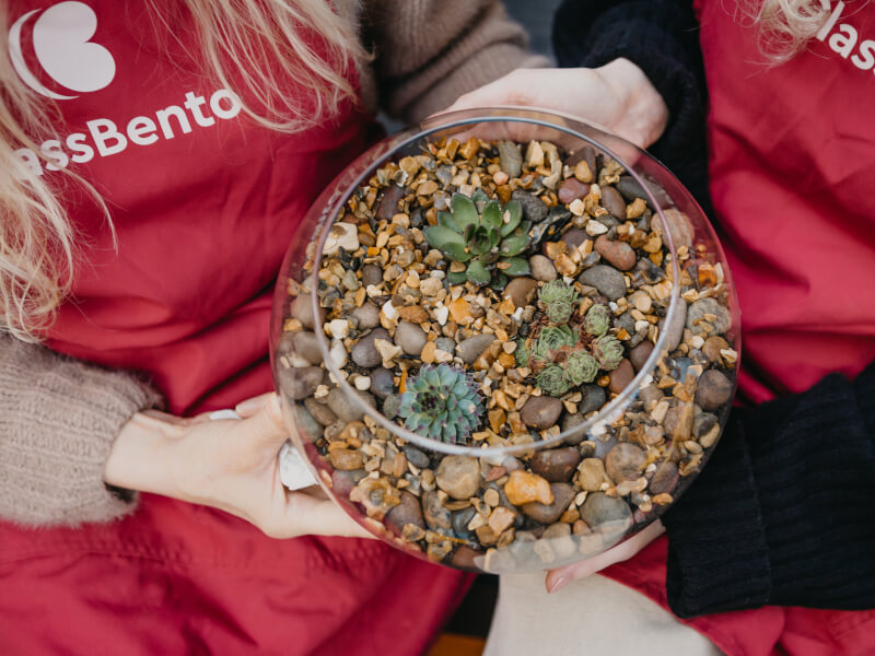 Top-down view of two people holding a terrarium